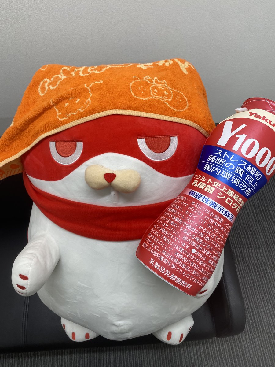 🟠🟠🟠🍊🍊🍊 CHIKACHIKAにゃんまる 🍊🍊🍊🟠🟠🟠 オレンジ色が大好き