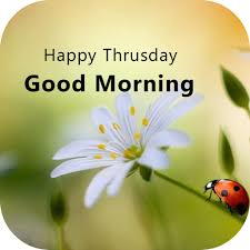 Donna Marie tweet media