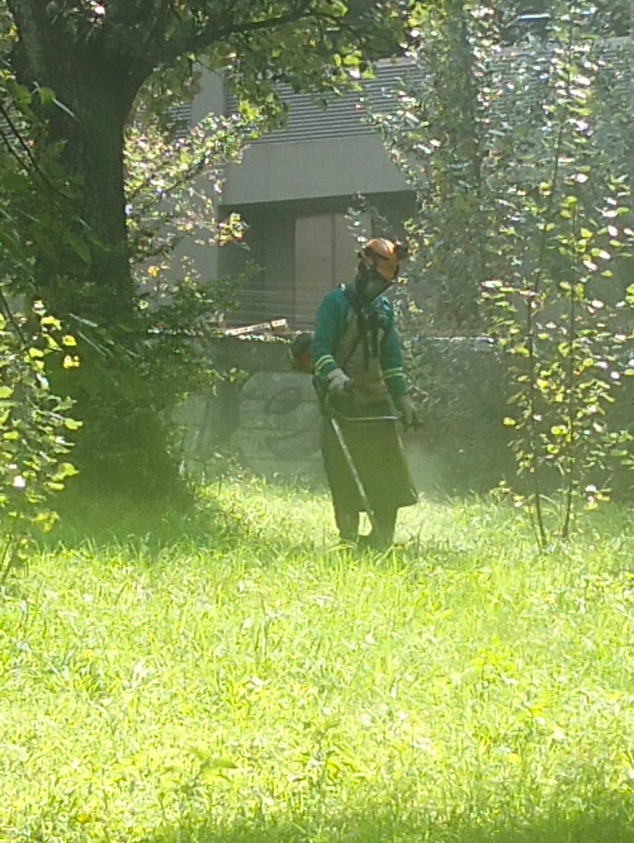 Region B CRUM tweet media