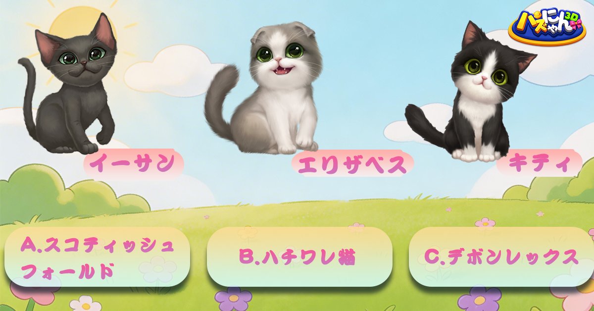 kitten_match's tweet photo. 【にゃんこ大混乱！プロフィール大捜査🔍】

ある日突然、キティ・エリザベス・イーサンの写真と品種がバラバラに…😵
🐱 写真①：イーサン
🤠 写真②：エリザベス
🎩 写真③：キティ
💡 あなたの推理で、正しい組み合わせを教えてにゃ！
🎁 コメントで答え＋パズにゃん3D IDを教えてくれた方にプレゼント！
〆3/25
＃パズにゃん3D