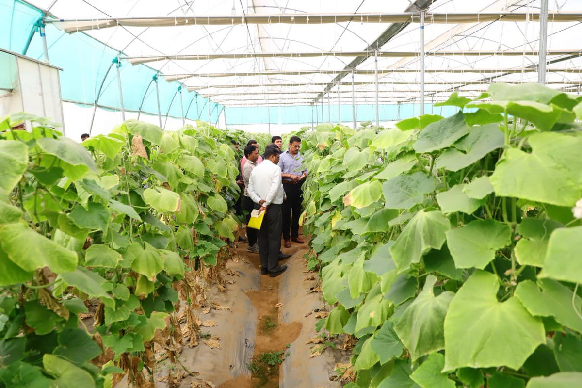 Col Rajyavardhan Rathore tweet media