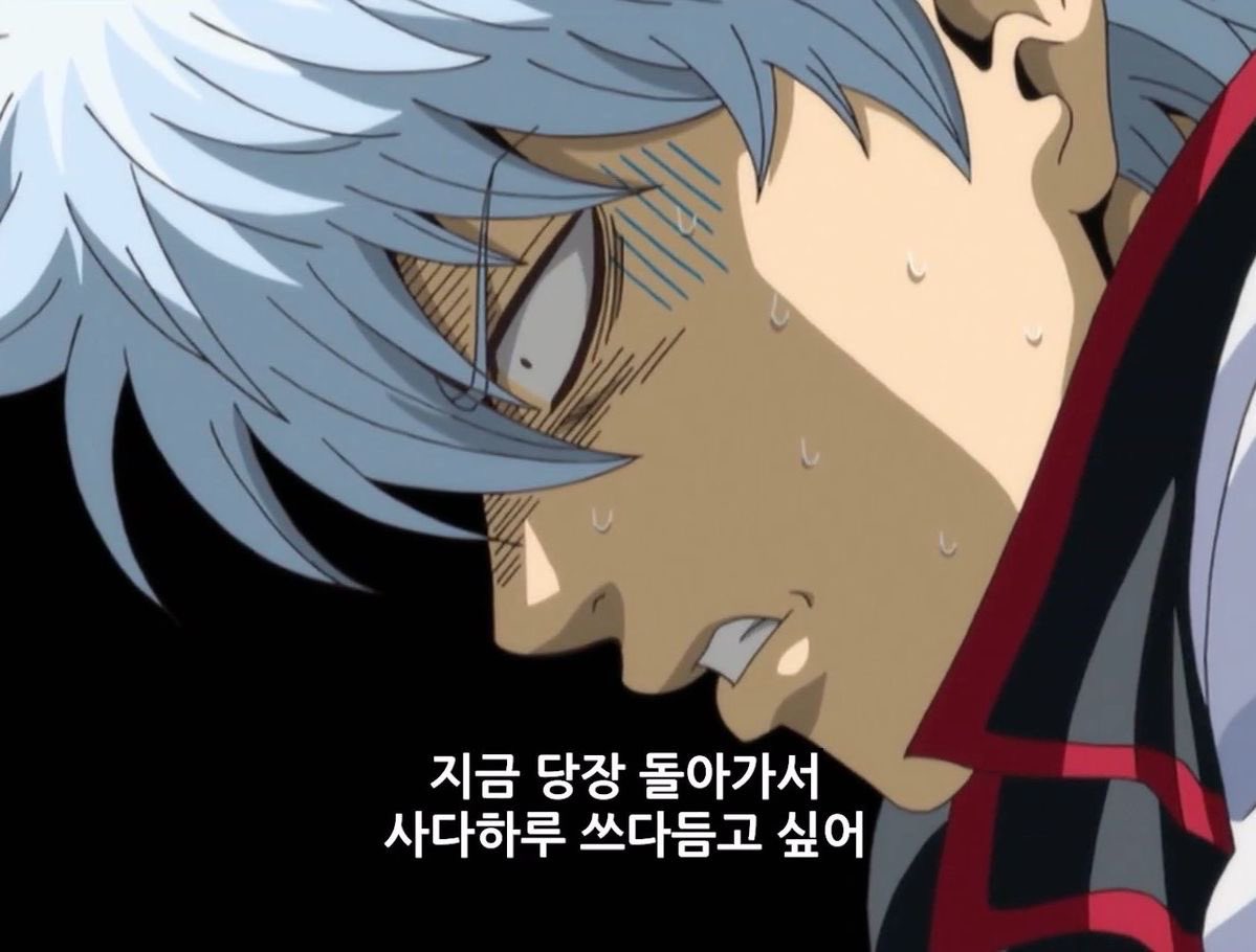 조낸힘든목요일
우리집에도사다하루있어야만