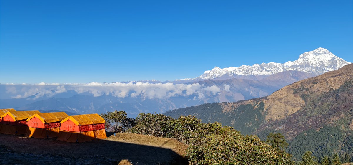 DelightsTrek's tweet photo. “The Khopra Trek is a less crowded route in the Annapurna region, offering wide views of Dhaulagiri, Annapurna South, and surrounding Himalayan peaks. The trail passes through forests, traditional villages, and high ridges, leading to the peaceful viewpoint of Khopra Danda." https://t.co/kZtAqmRq9o