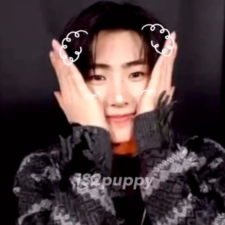 Tutu is busy 🐧 tweet media