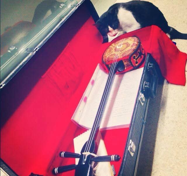 TinyBirb🐦 tweet media