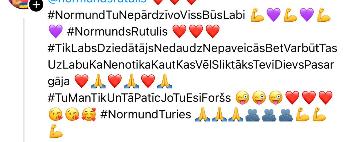 Kaspars Škinčs tweet media