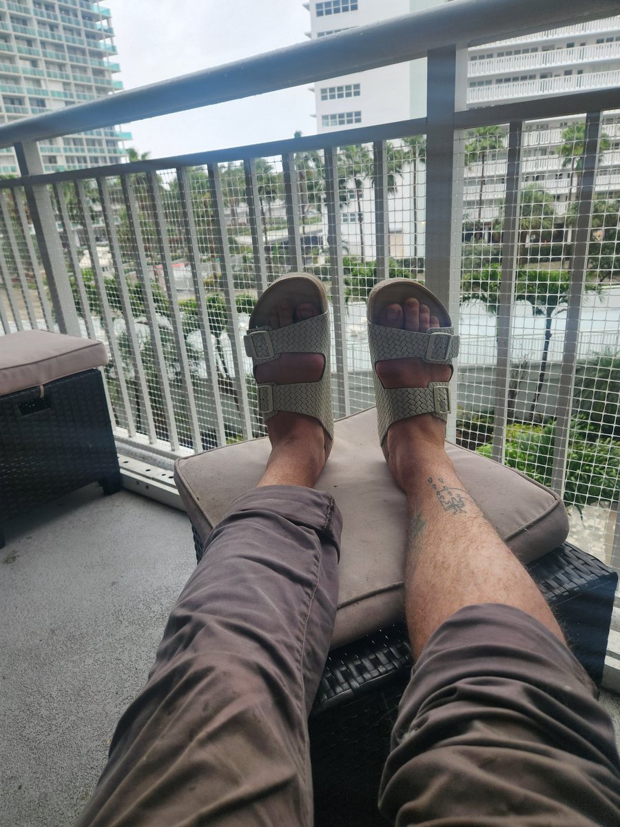 dumpstar 🍯🦡 tweet media