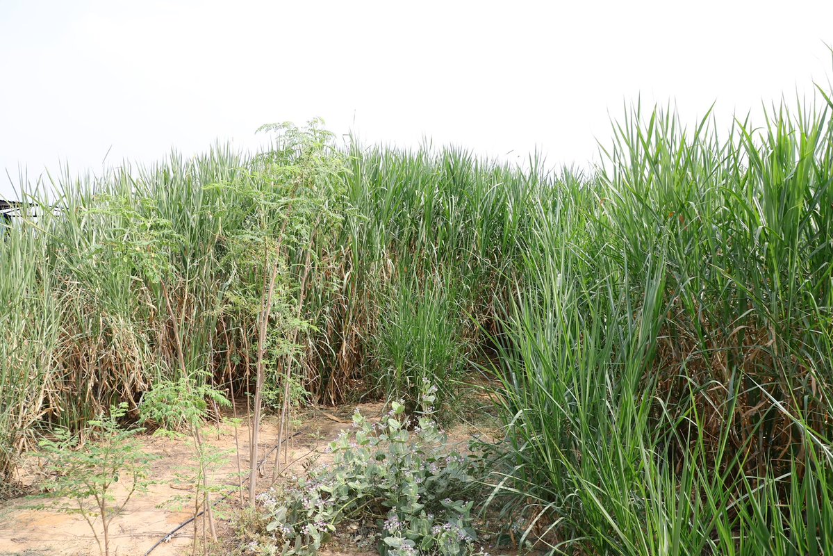 Col Rajyavardhan Rathore tweet media