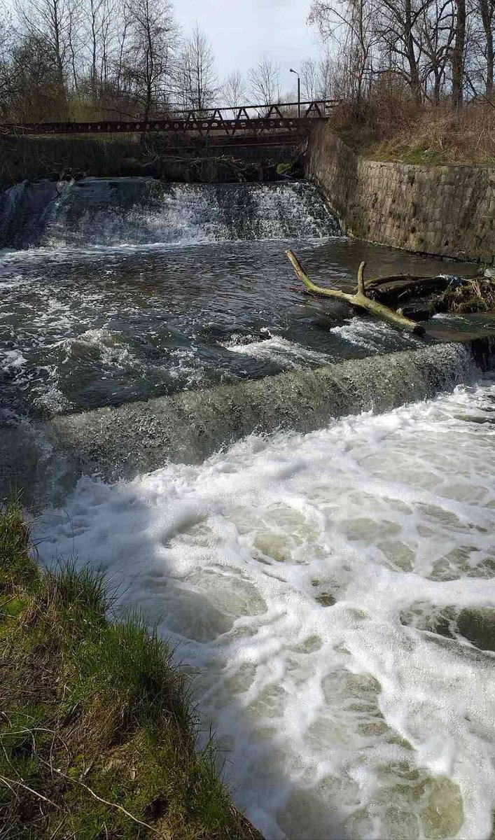 Pawel Zakrzewski tweet media