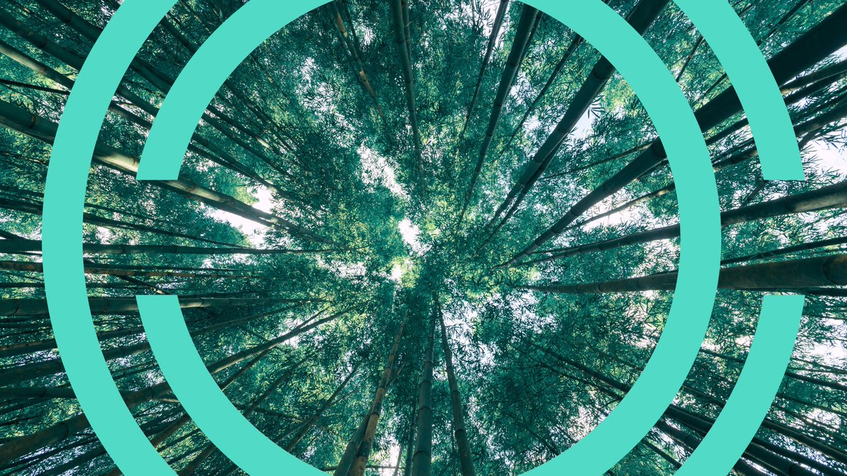 Global Legal Entity Identifier Foundation (GLEIF) tweet media