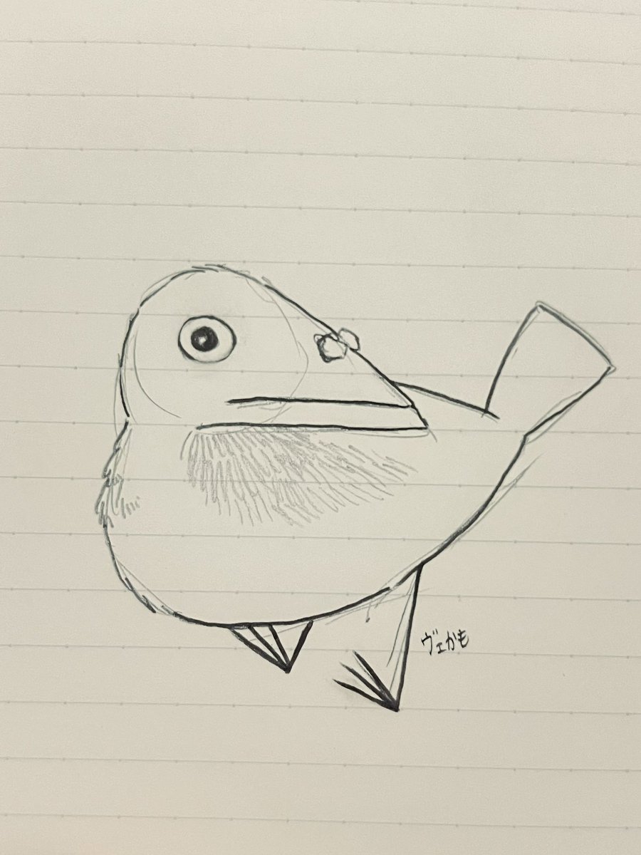 ヴェかも🦆 tweet media