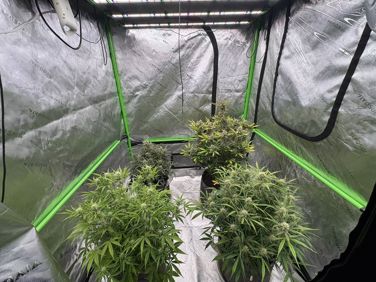 Ohio Grows Organic tweet media