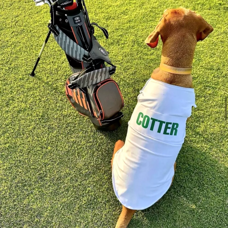 Stephen Michael Brown tweet media