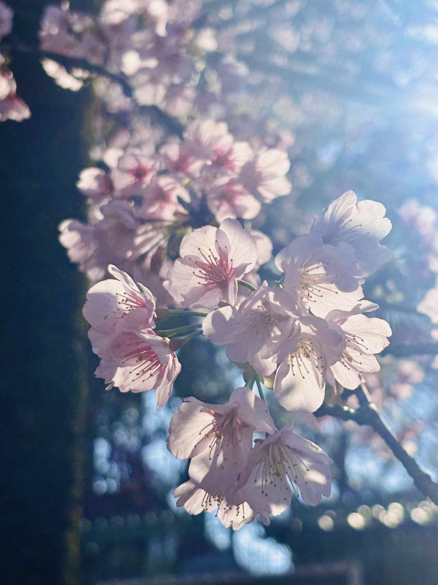 DiGiDRAW || Comms open, 4/10 slots taken tweet media