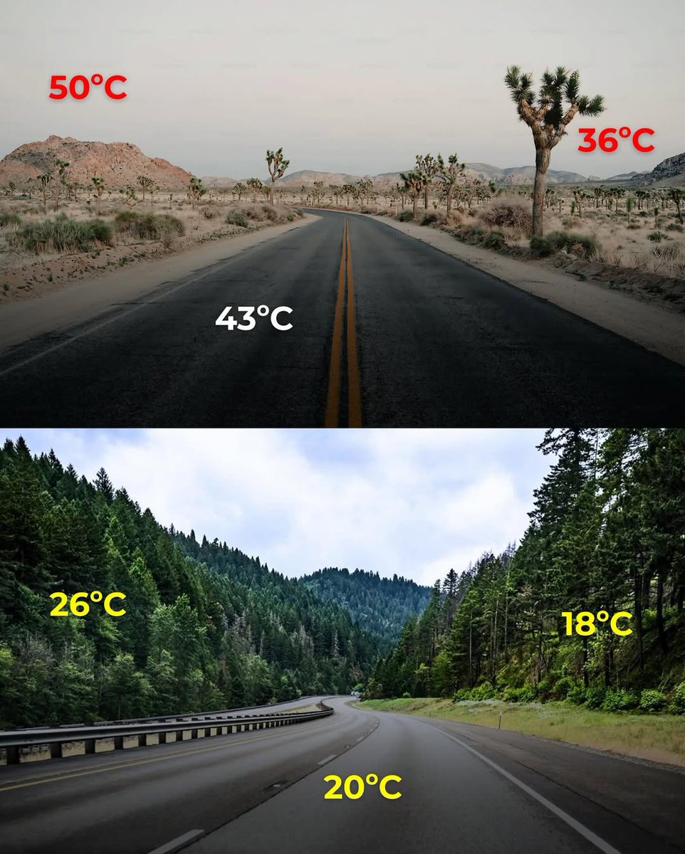 yourplanetonx's tweet photo. Without trees, temperatures rise and heat becomes extreme. 🌡️

But with greenery and forests, the climate stays cooler and balanced.

#SaveNature #ClimateCare
.
👍 Follow @yourplanet.earth for more
🙏 Turn on notifications for future updates https://t.co/EZzYzPzys6
