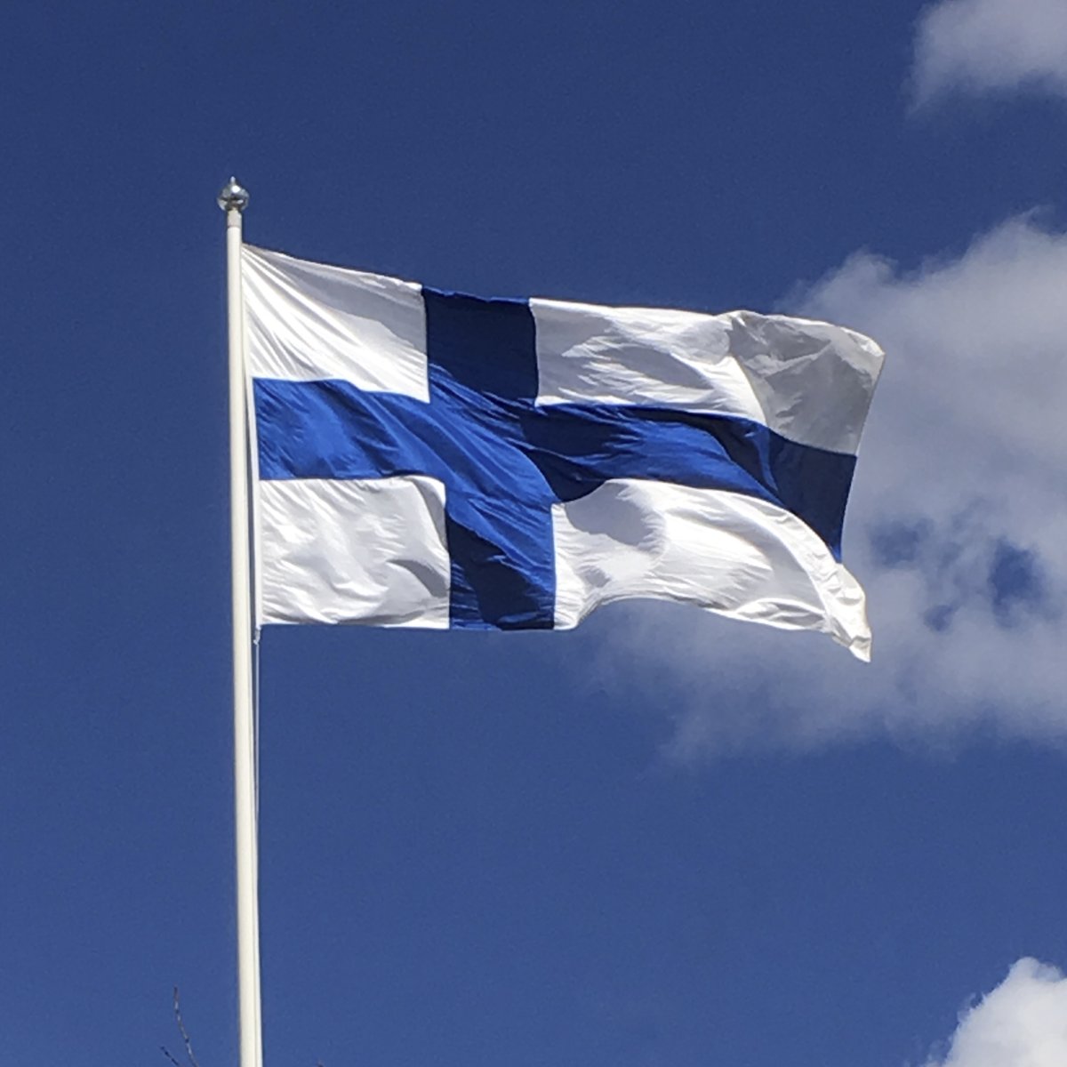 Miina Sillanpää tweet media