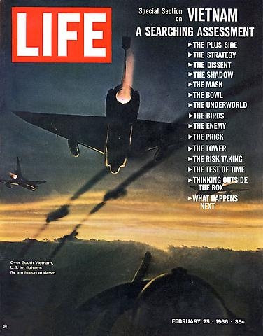 nightly moth tweet media