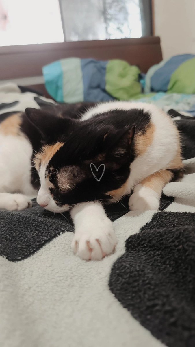 Jesús Arturo tweet media