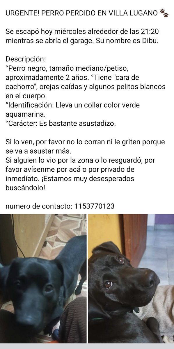 Laly 🇦🇷 tweet media