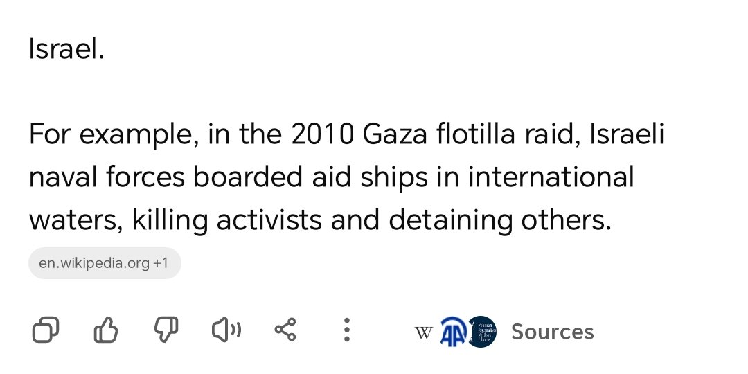 Amer Amayreh tweet media