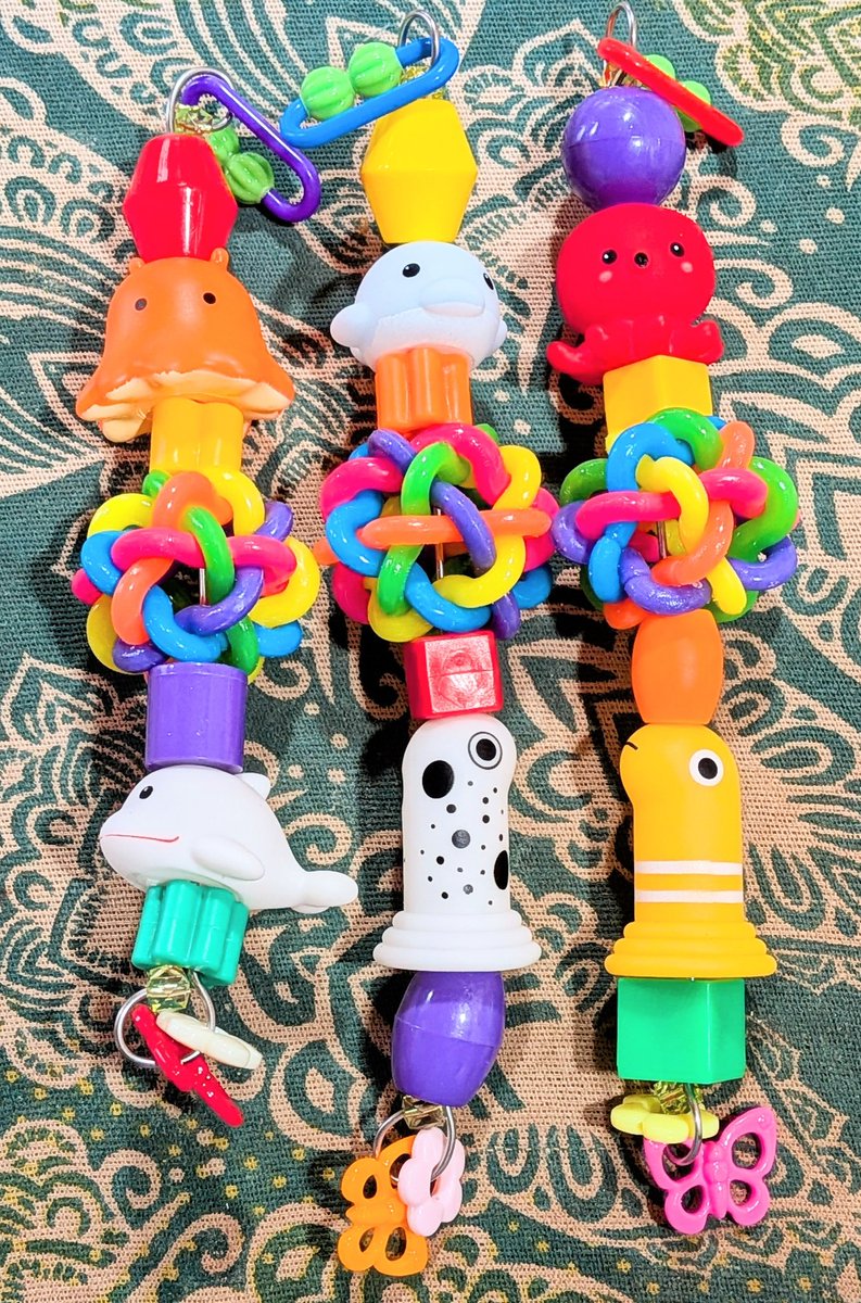 P&C LEON 小鳥専門店 tweet media