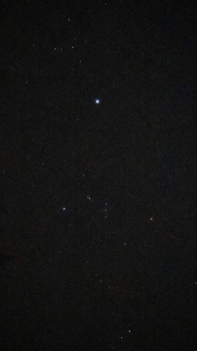 アイラ tweet media