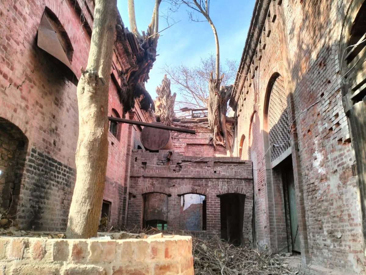 Developing Pakistan tweet media