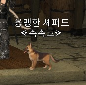 파판14 흥미로운 닉네임 (@ffxivnickmame) on Twitter photo 