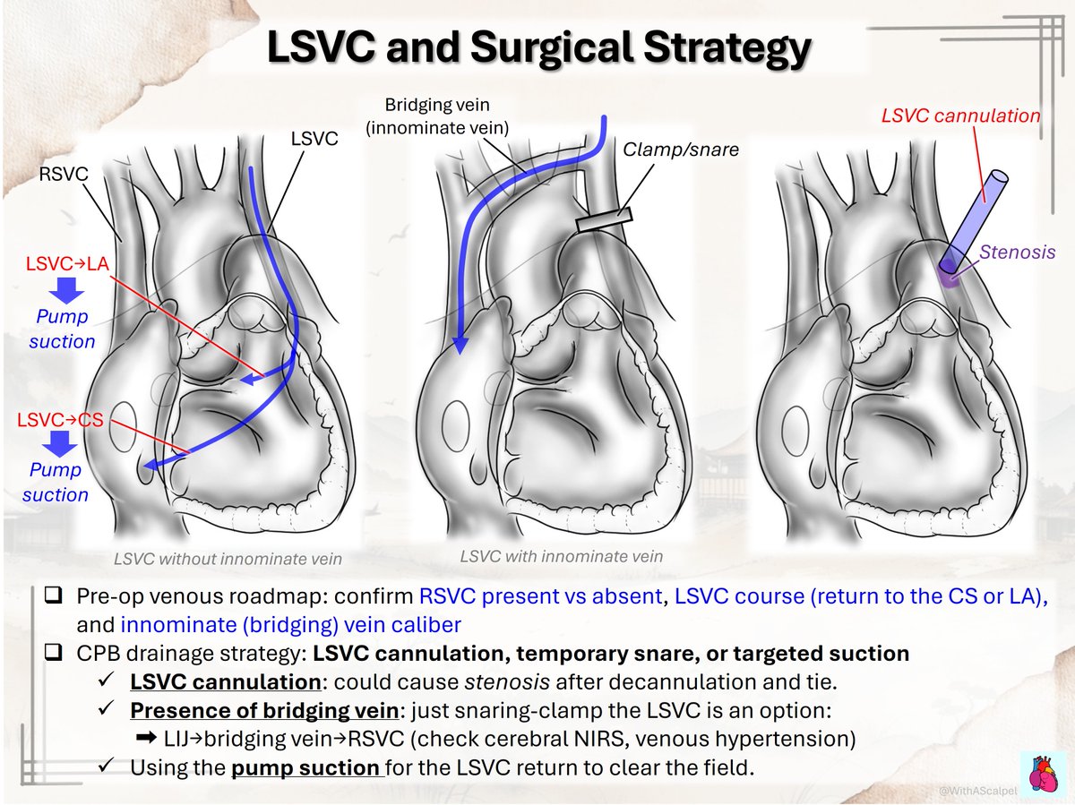 WithAScalpel tweet media
