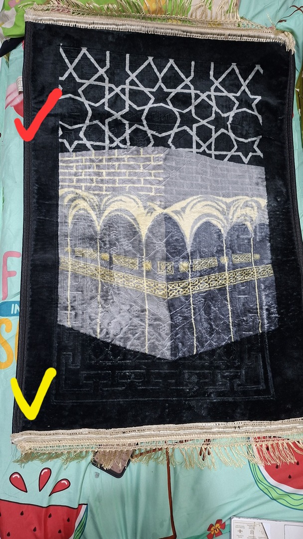 🦈 SUROBOYOFESS 🐊 tweet media