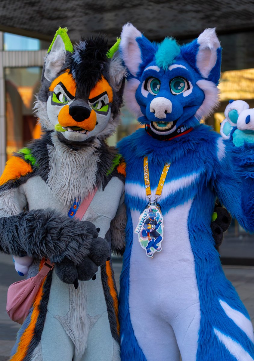 Lepton 🐺 🔜 Animalz tweet media