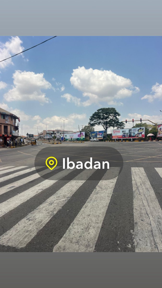 Timmygirl🌸💕 tweet media