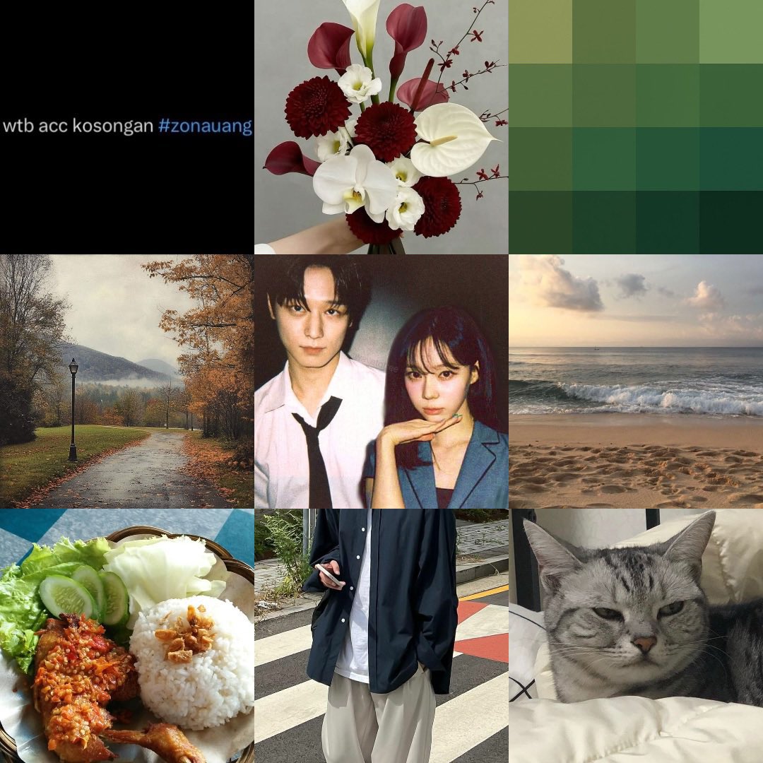 نويل tweet media