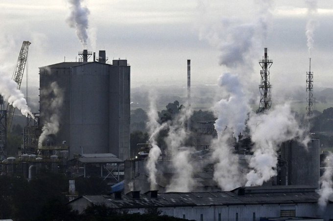 Daniel Martinez tweet media