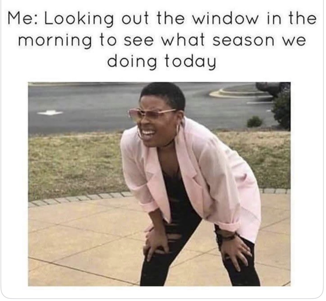 Mandy 🌹 tweet media