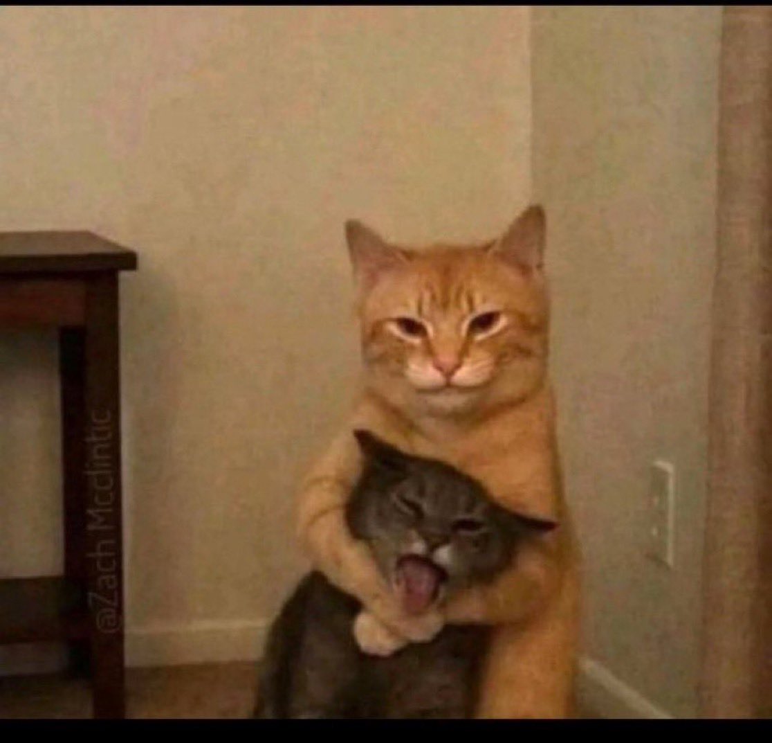 dax jpy 📊 tweet media