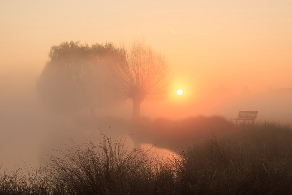 Sue Lindenberg tweet media