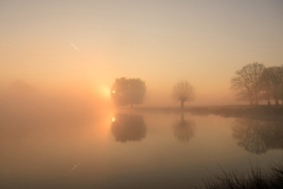 Sue Lindenberg tweet media