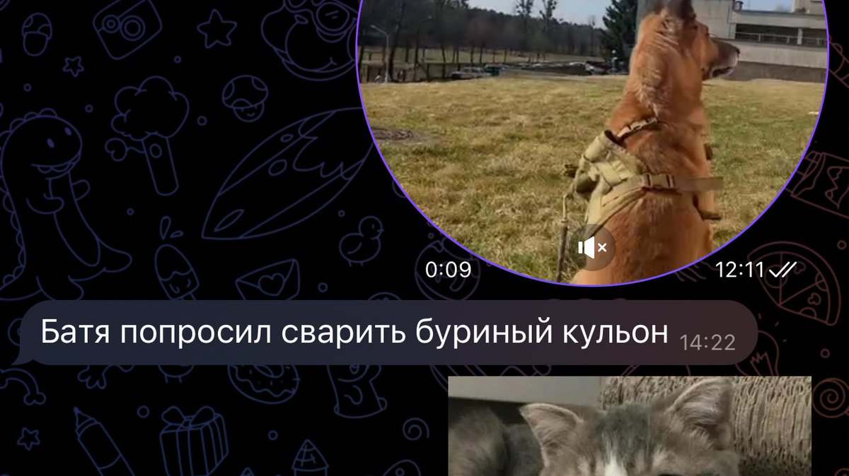 лиза ким каевна☀︎🧸 tweet media
