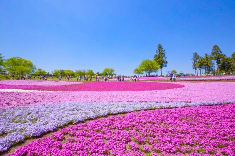 極上の旅図鑑 tweet media