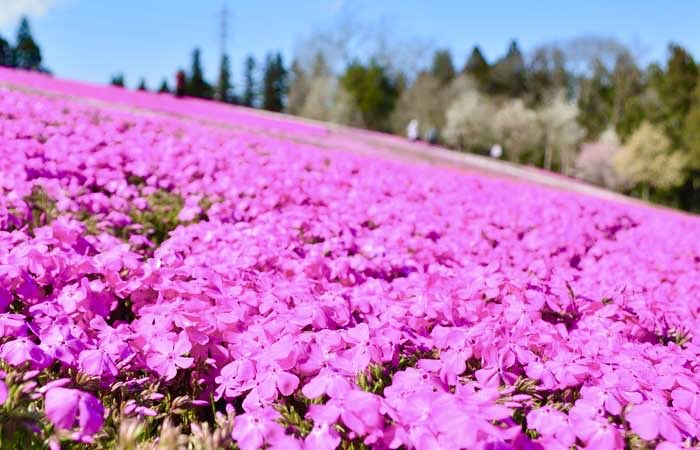 極上の旅図鑑 tweet media