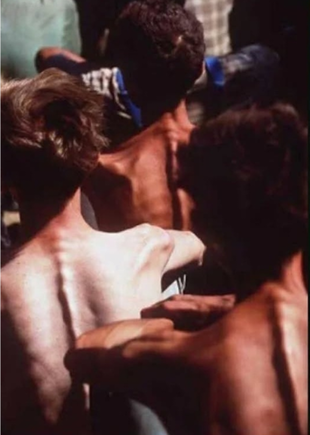 Melina Borčak *New English Account* tweet media