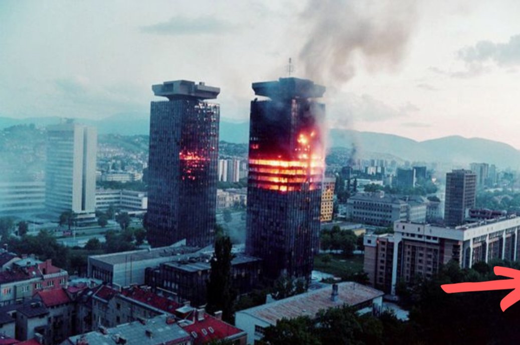 Melina Borčak *New English Account* tweet media