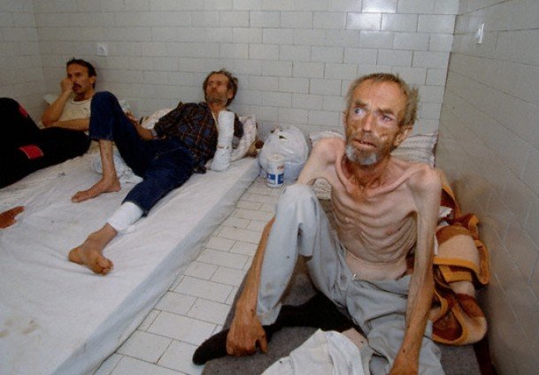 Melina Borčak *New English Account* tweet media