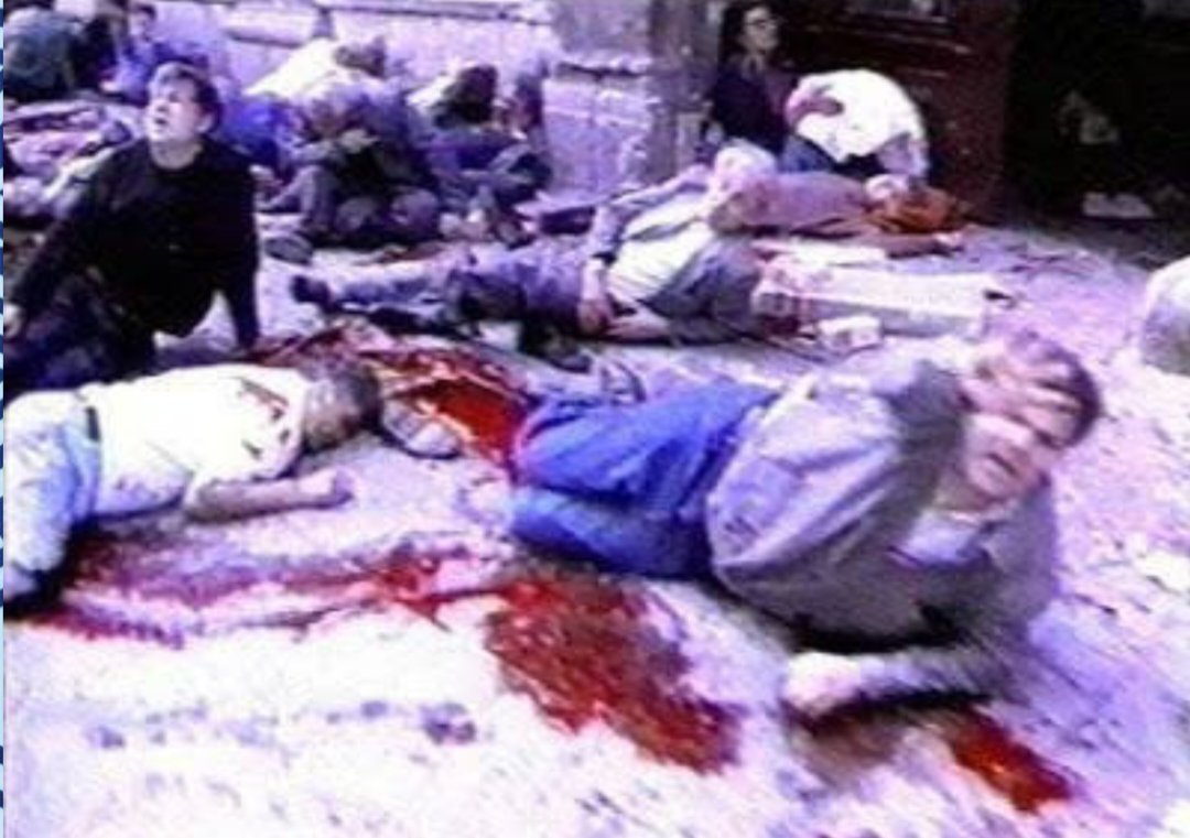 Melina Borčak *New English Account* tweet media