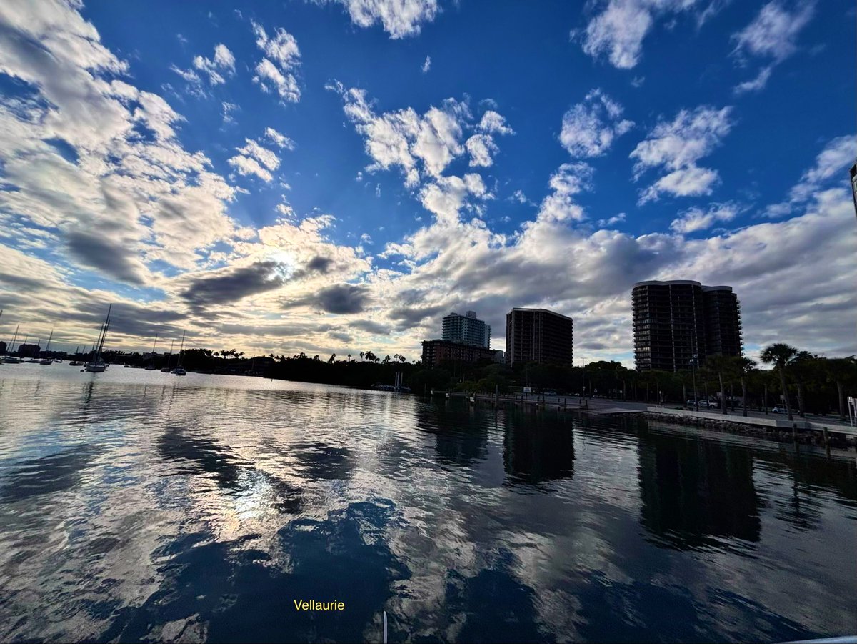 Vijay Ellaurie tweet media