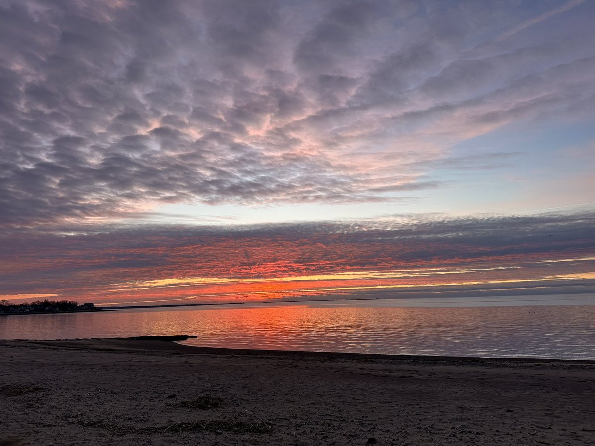 Walks with Buddy tweet media