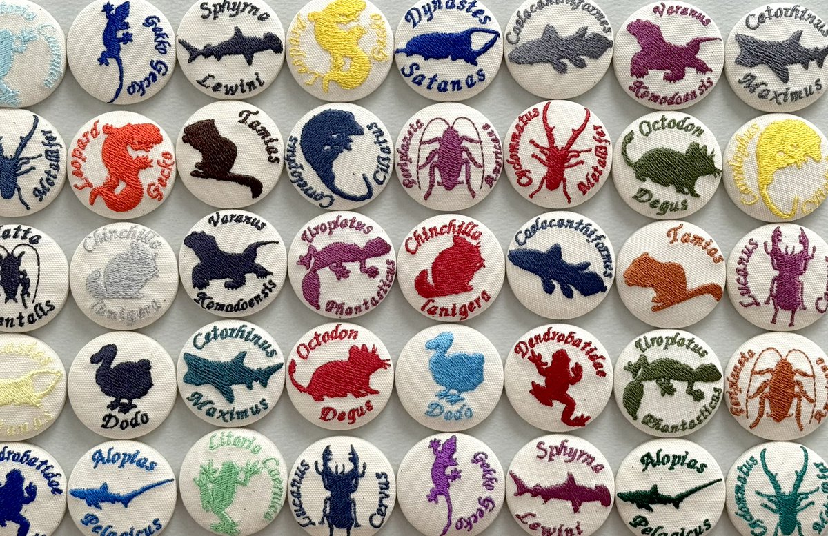 Yui【鉱物標本アクセサリー作家】 tweet media