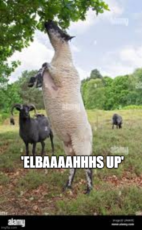 Johnny Gordon tweet media