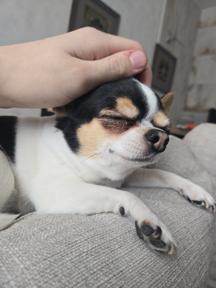 cornnflake tweet media